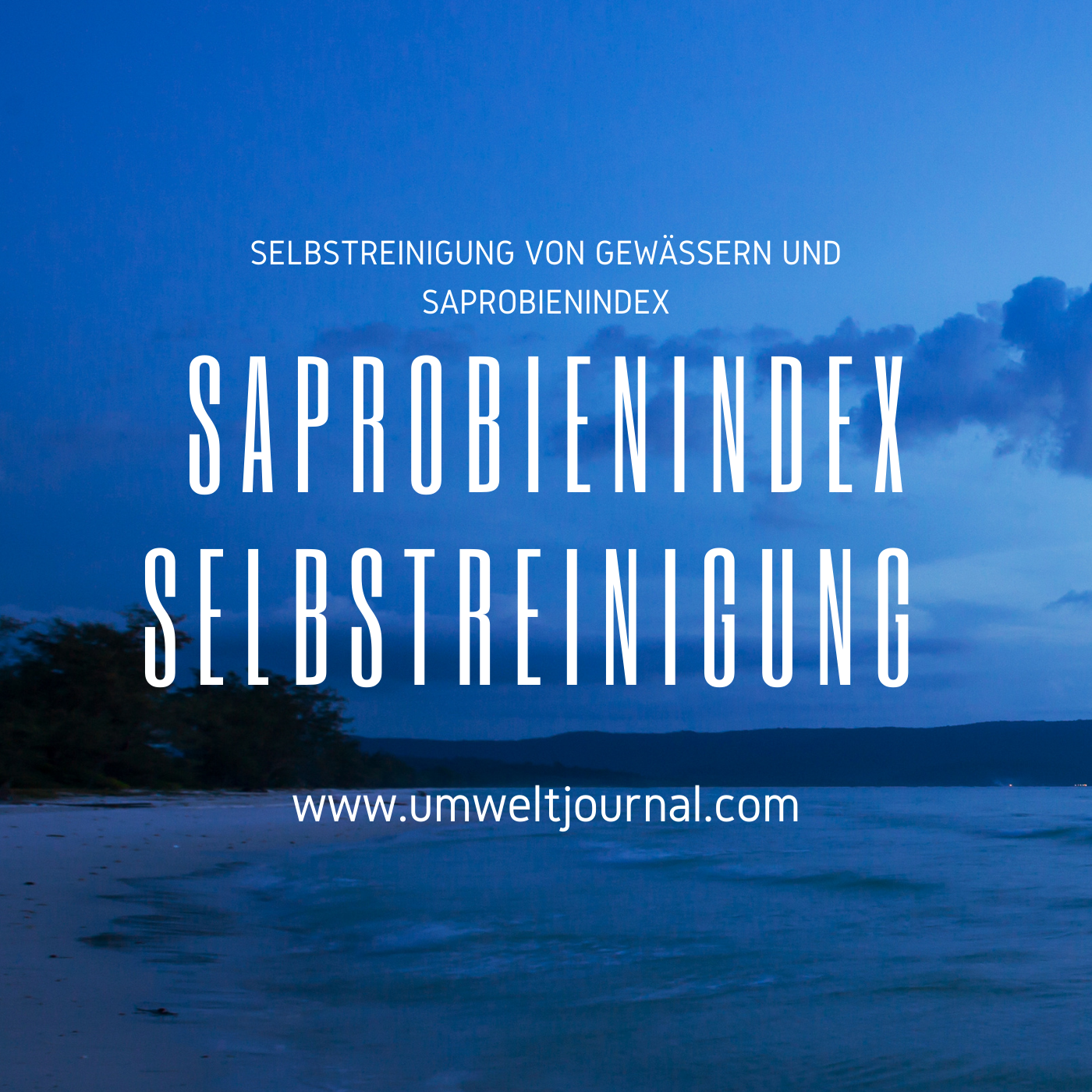 Selbstreinigung von Gewässern und Saprobienindex