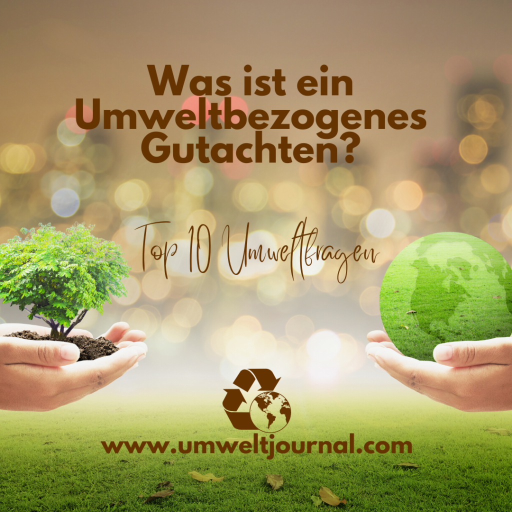 Was ist ein umweltbezogenes Gutachten?